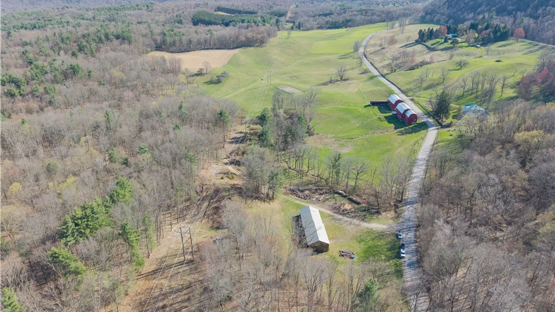 Property at Geiger Road, Ossian, NY 14437 11