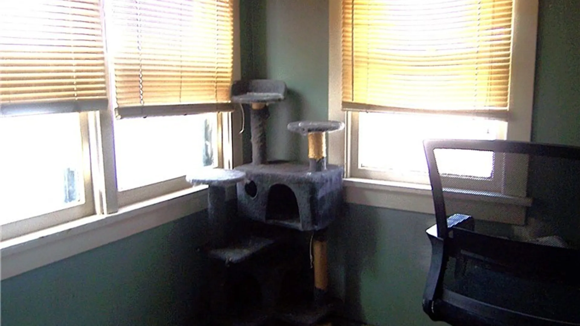 Property at 19 Holland Avenue, Batavia City, NY 14020 10