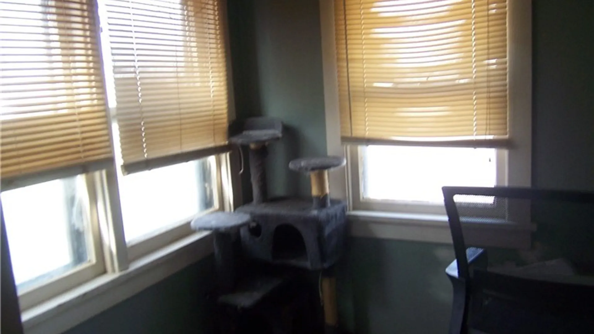 Property at 19 Holland Avenue, Batavia City, NY 14020 12