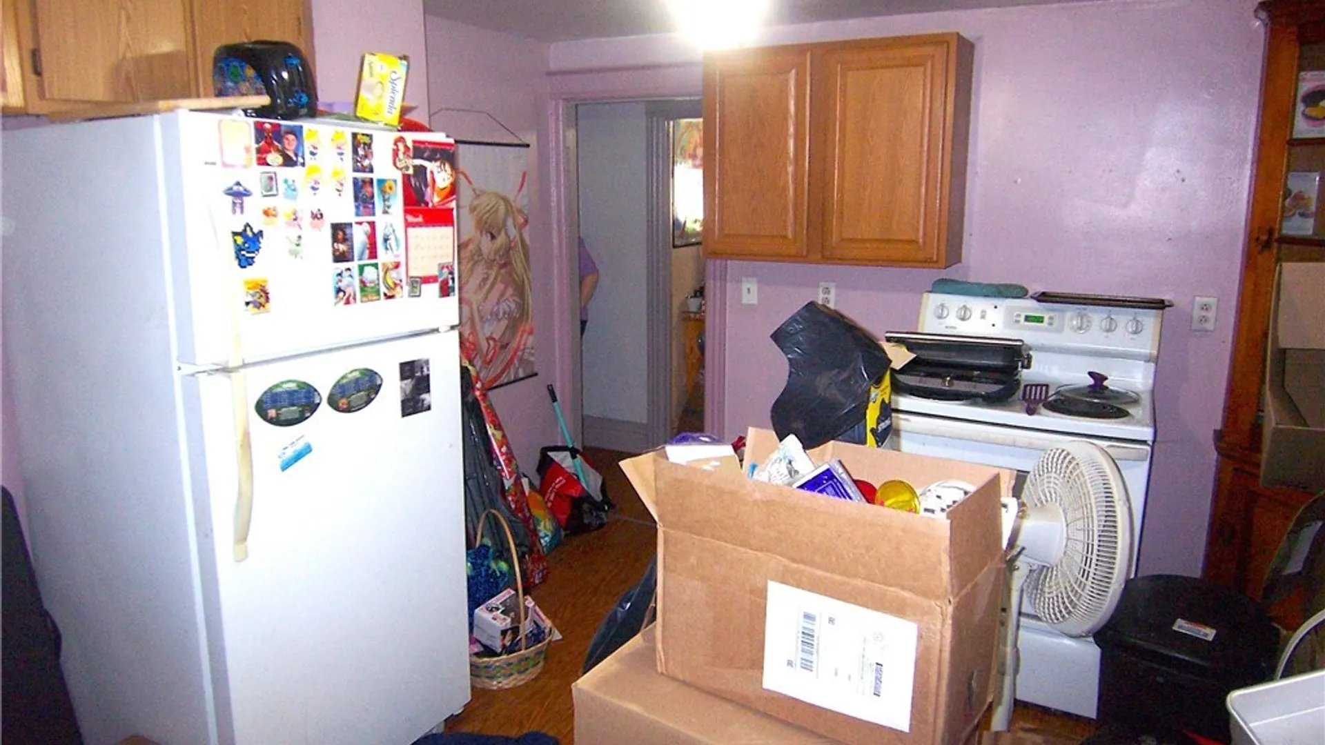 Property at 19 Holland Avenue, Batavia City, NY 14020 13