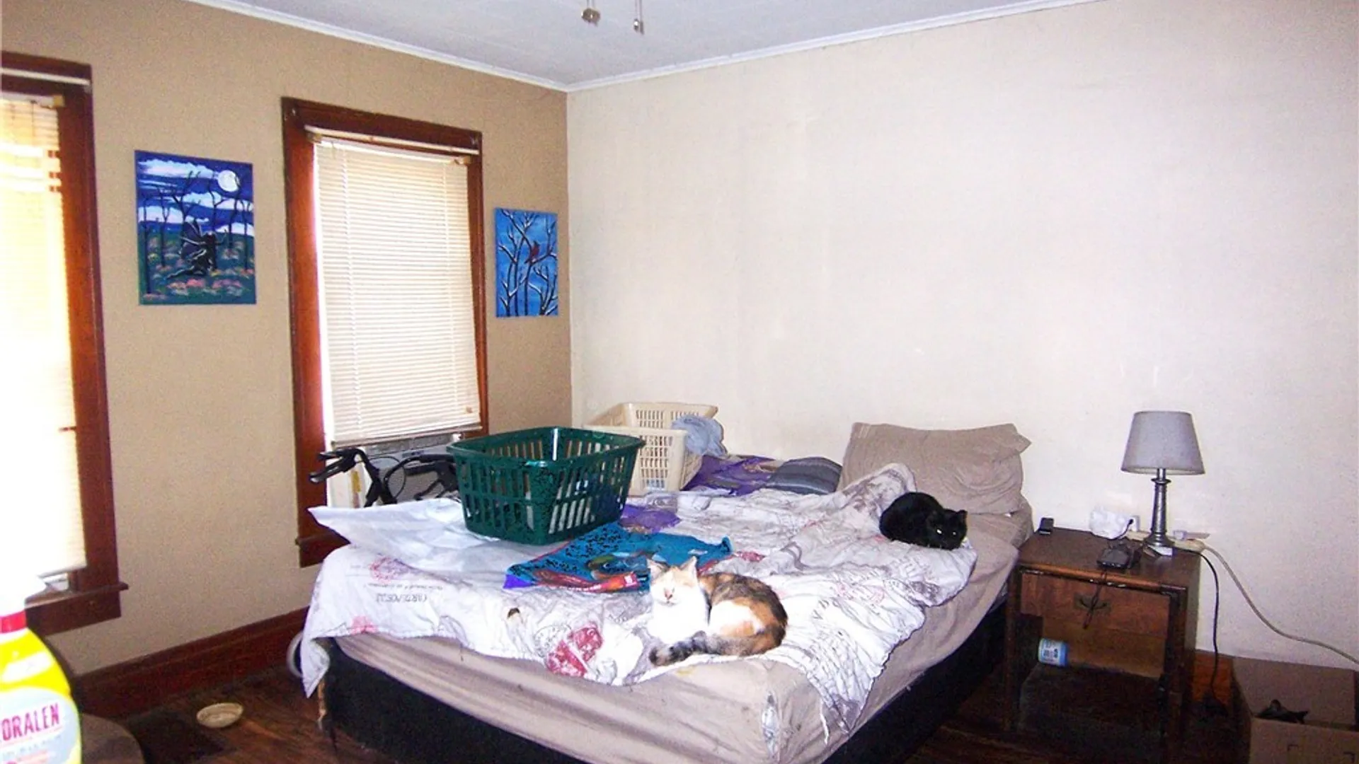 Property at 19 Holland Avenue, Batavia City, NY 14020 7