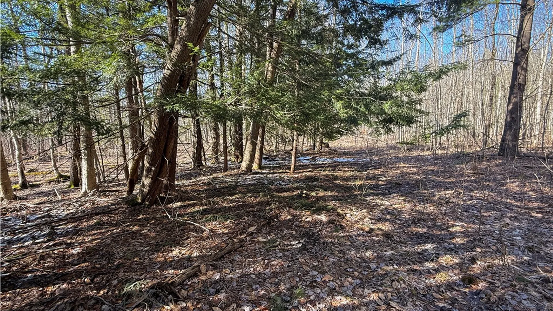 Property at Paradise Road, Palermo, NY 13036 10