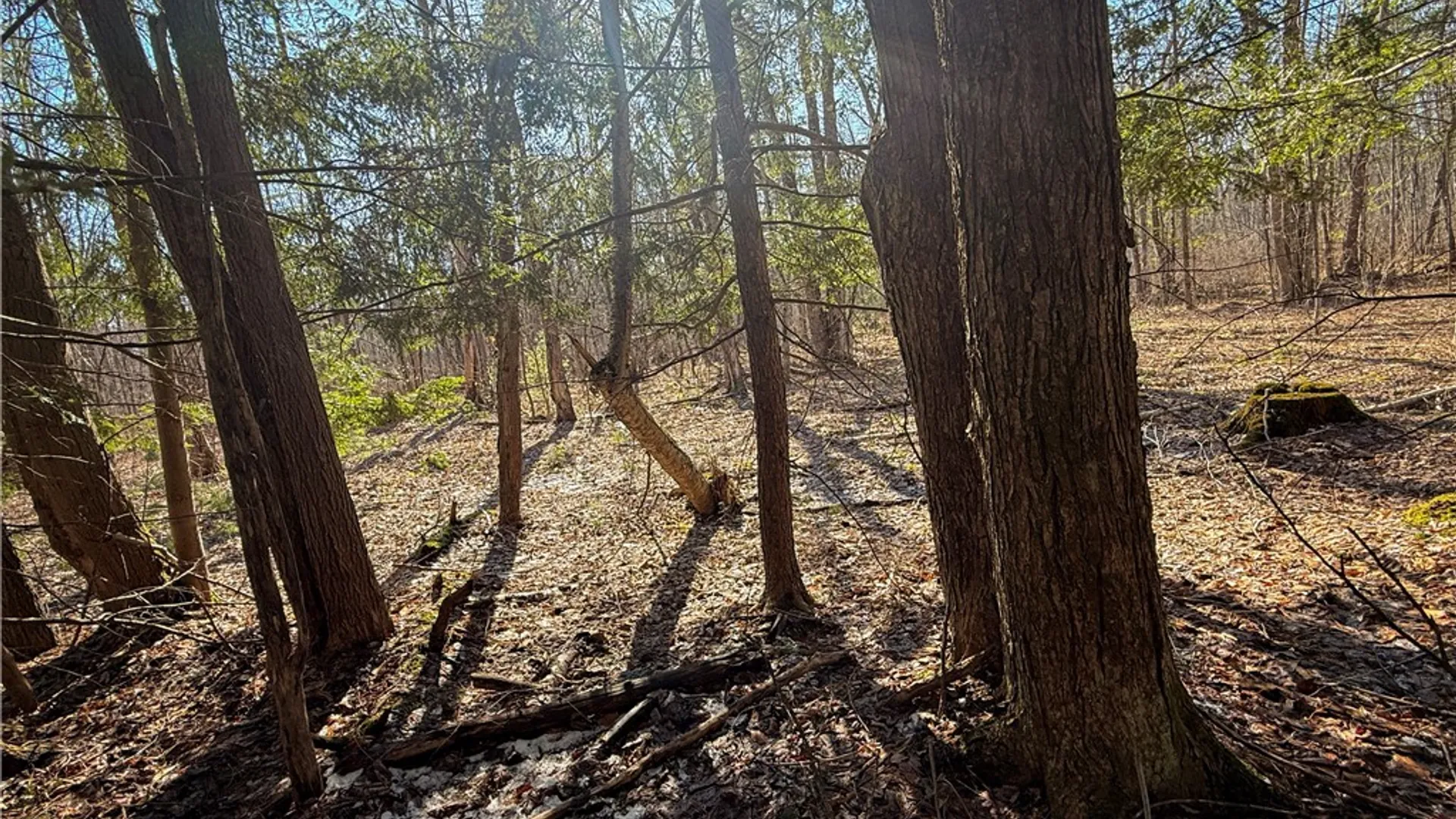 Property at Paradise Road, Palermo, NY 13036 11