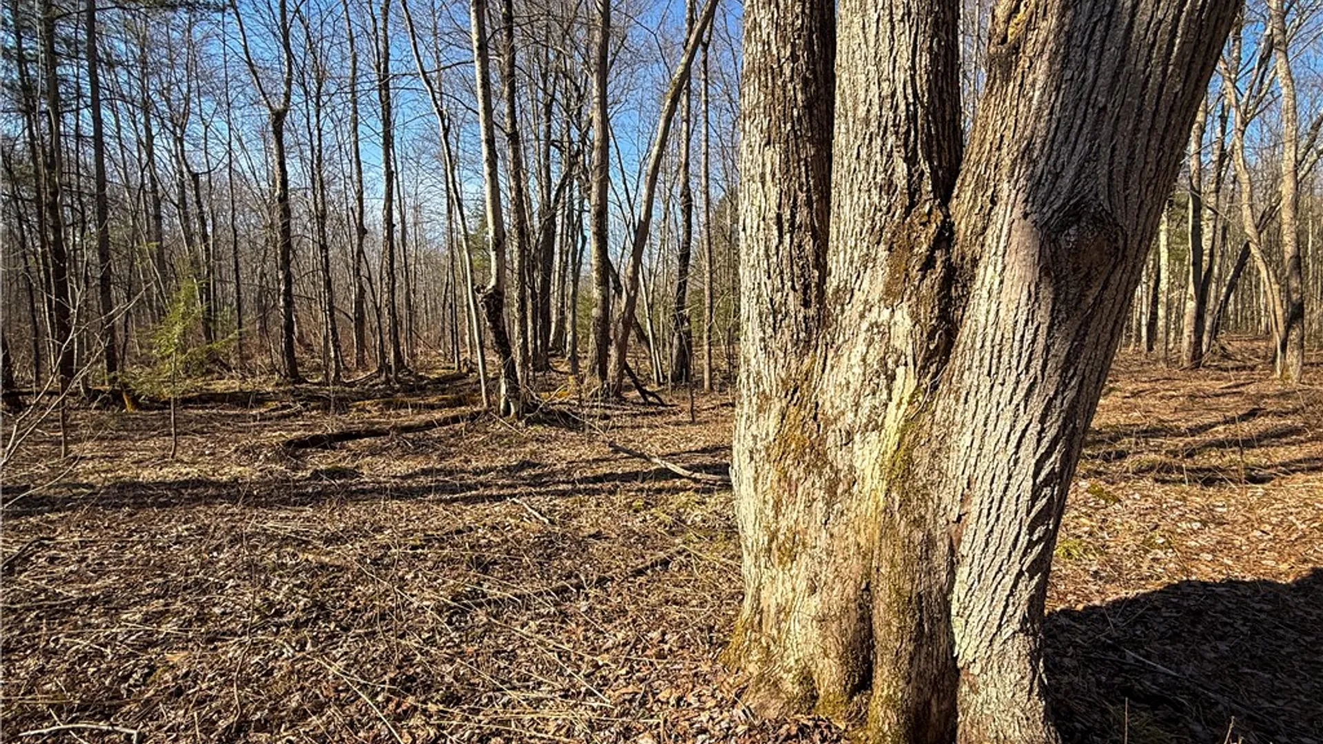 Property at Paradise Road, Palermo, NY 13036 12