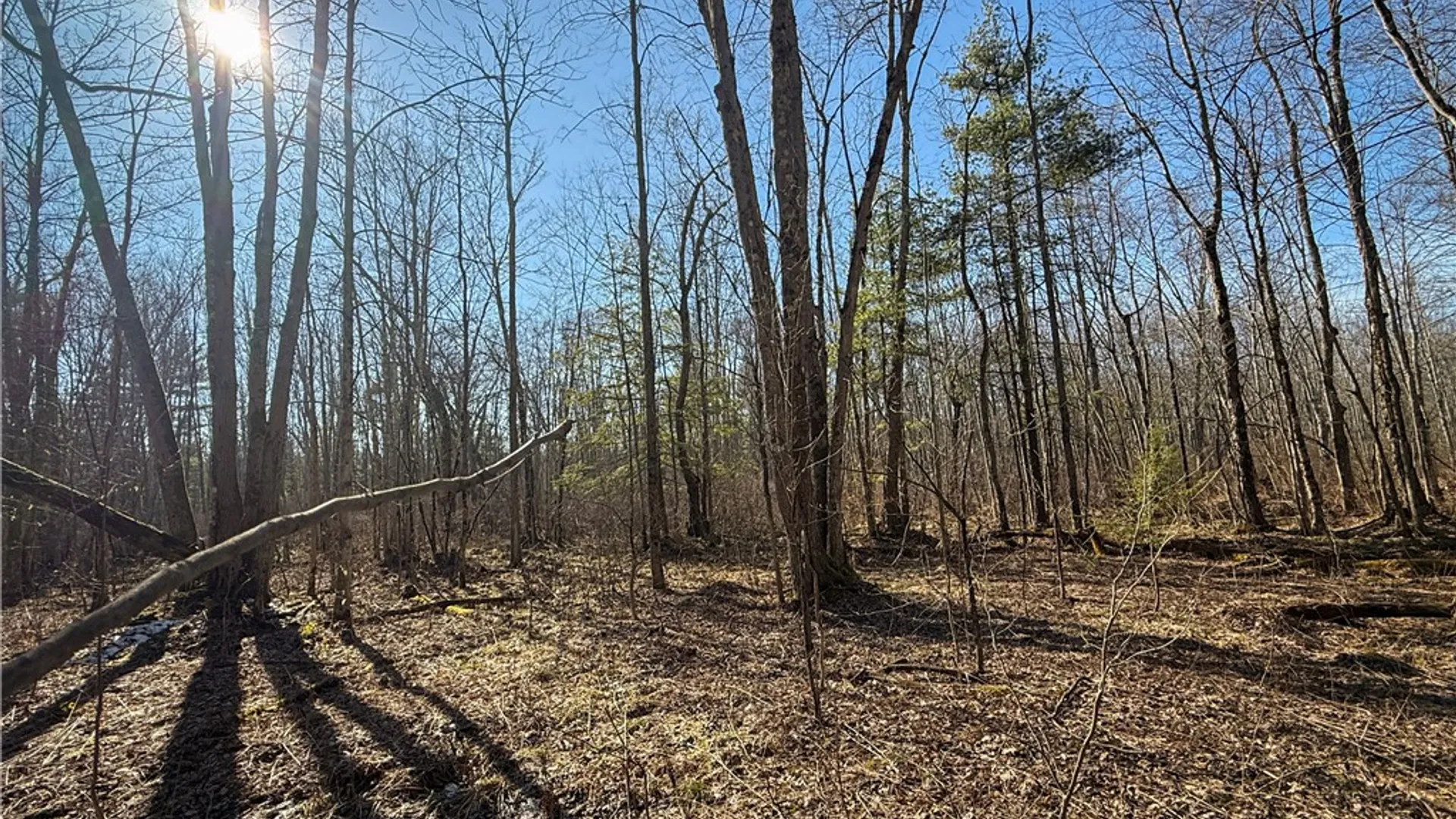 Property at Paradise Road, Palermo, NY 13036 13