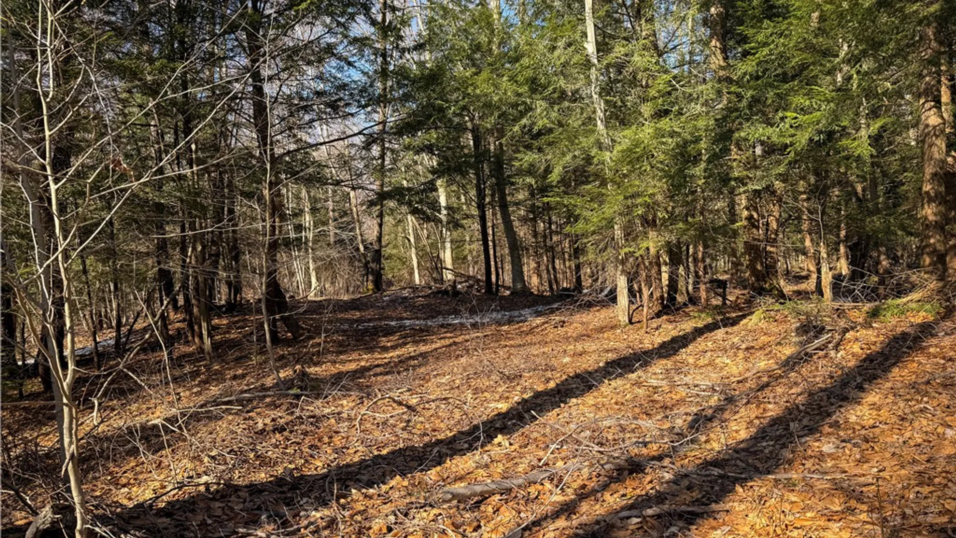 Property at Paradise Road, Palermo, NY 13036 14