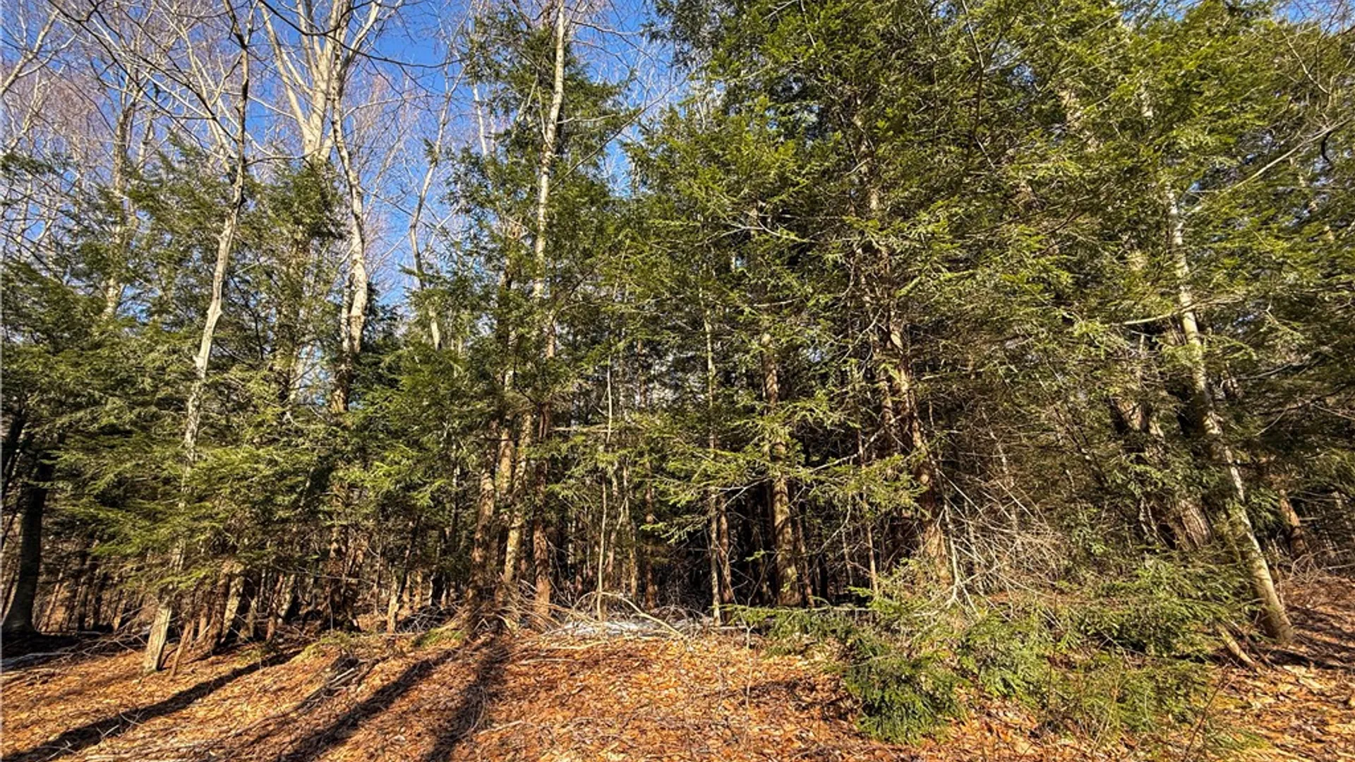 Property at Paradise Road, Palermo, NY 13036 16