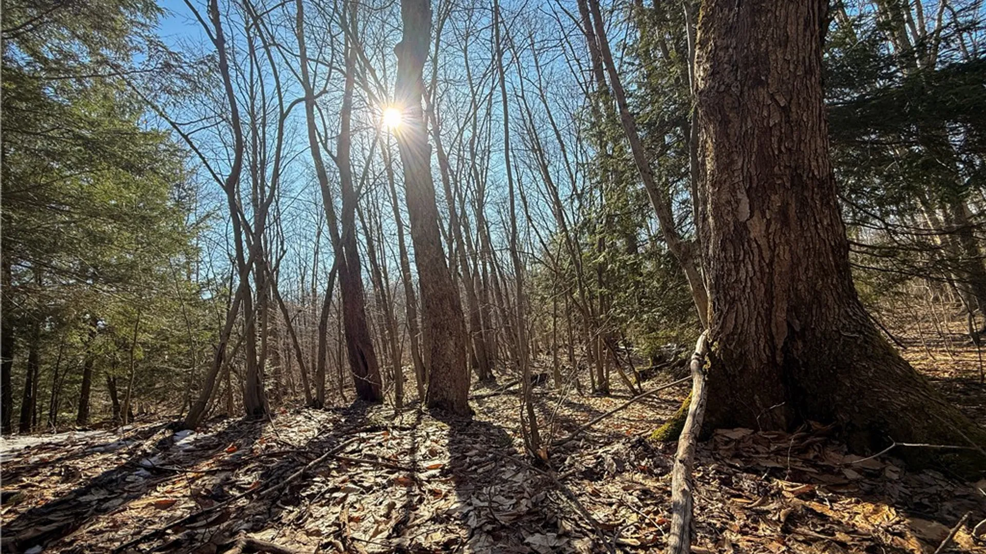 Property at Paradise Road, Palermo, NY 13036 17