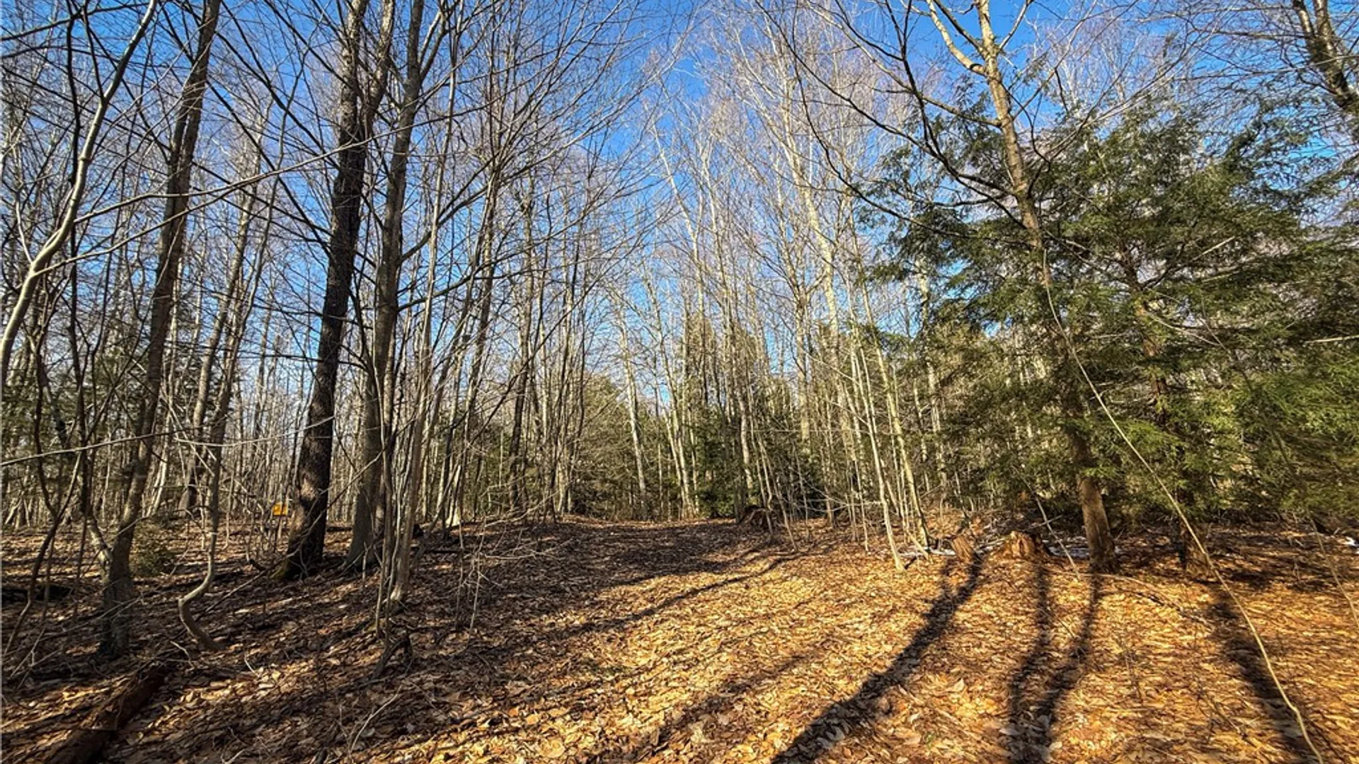 Property at Paradise Road, Palermo, NY 13036 18