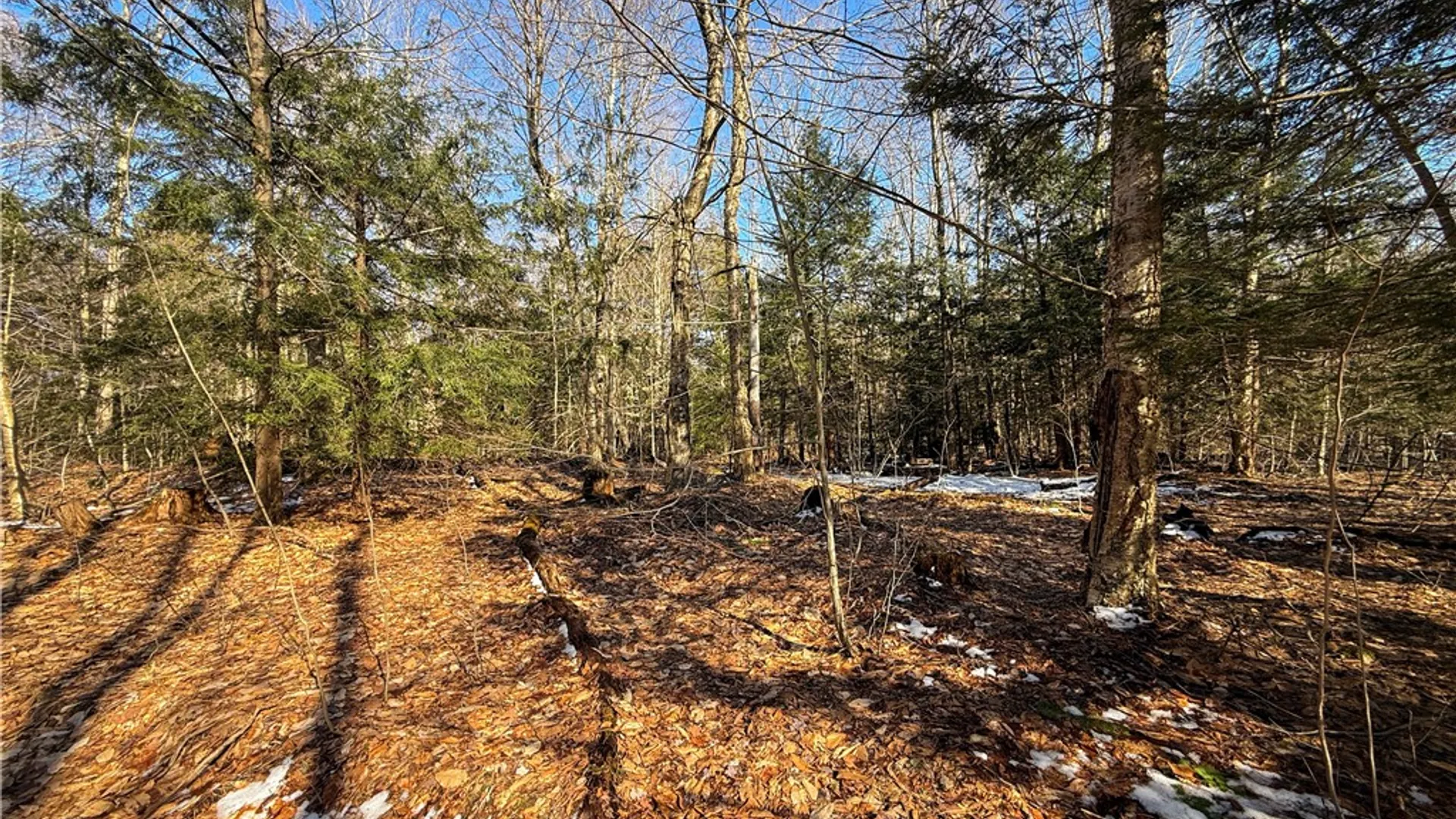 Property at Paradise Road, Palermo, NY 13036 19