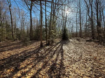 Paradise Road, Palermo, NY 13036