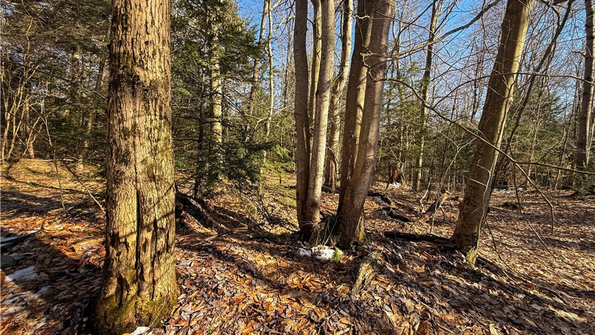 Property at Paradise Road, Palermo, NY 13036 20