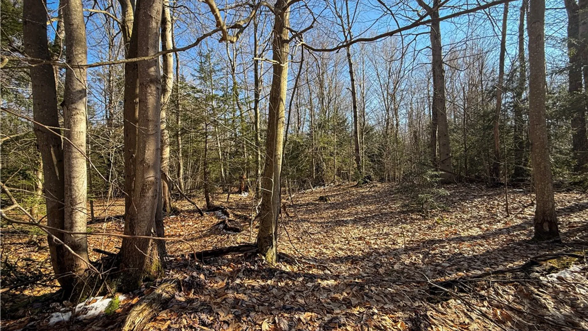 Property at Paradise Road, Palermo, NY 13036 21
