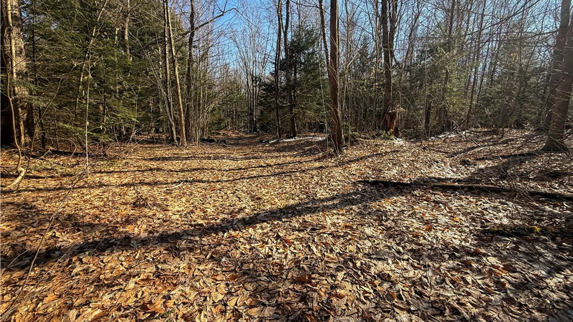 Property at Paradise Road, Palermo, NY 13036 22