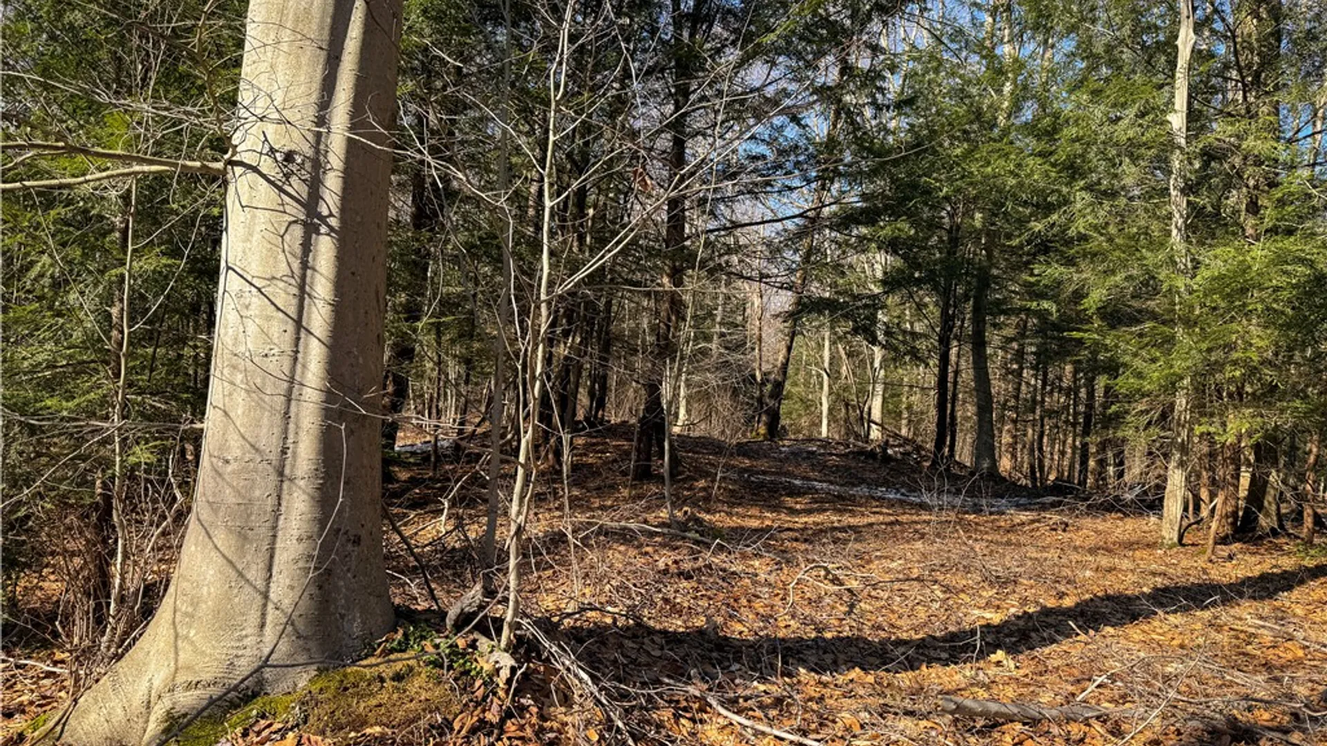 Property at Paradise Road, Palermo, NY 13036 24