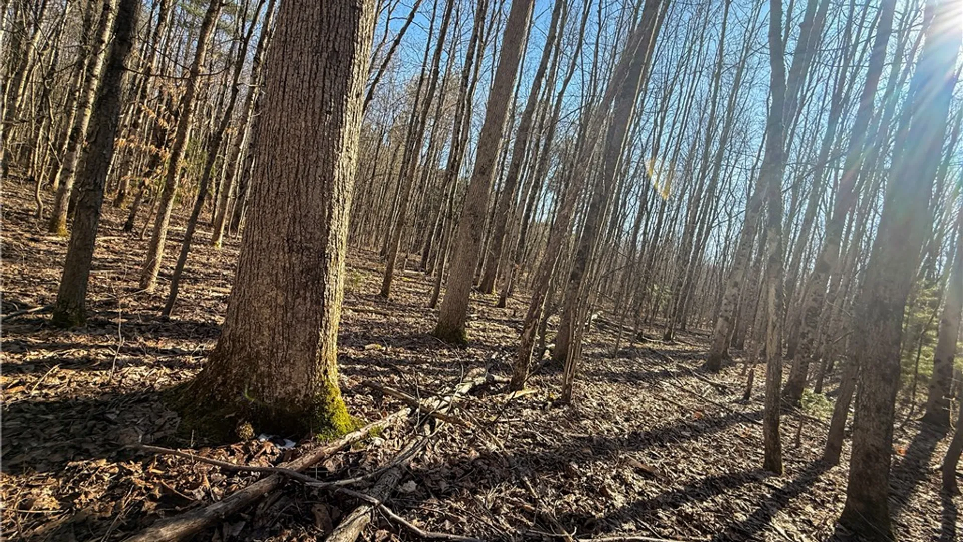 Property at Paradise Road, Palermo, NY 13036 25