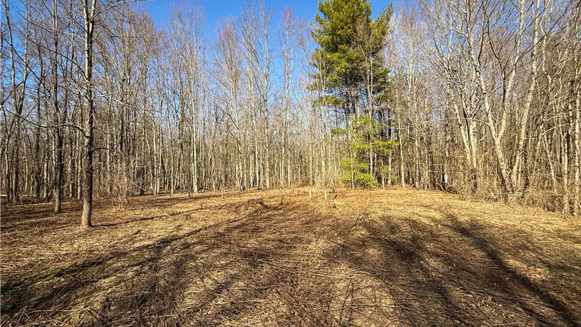 Property at Paradise Road, Palermo, NY 13036 26