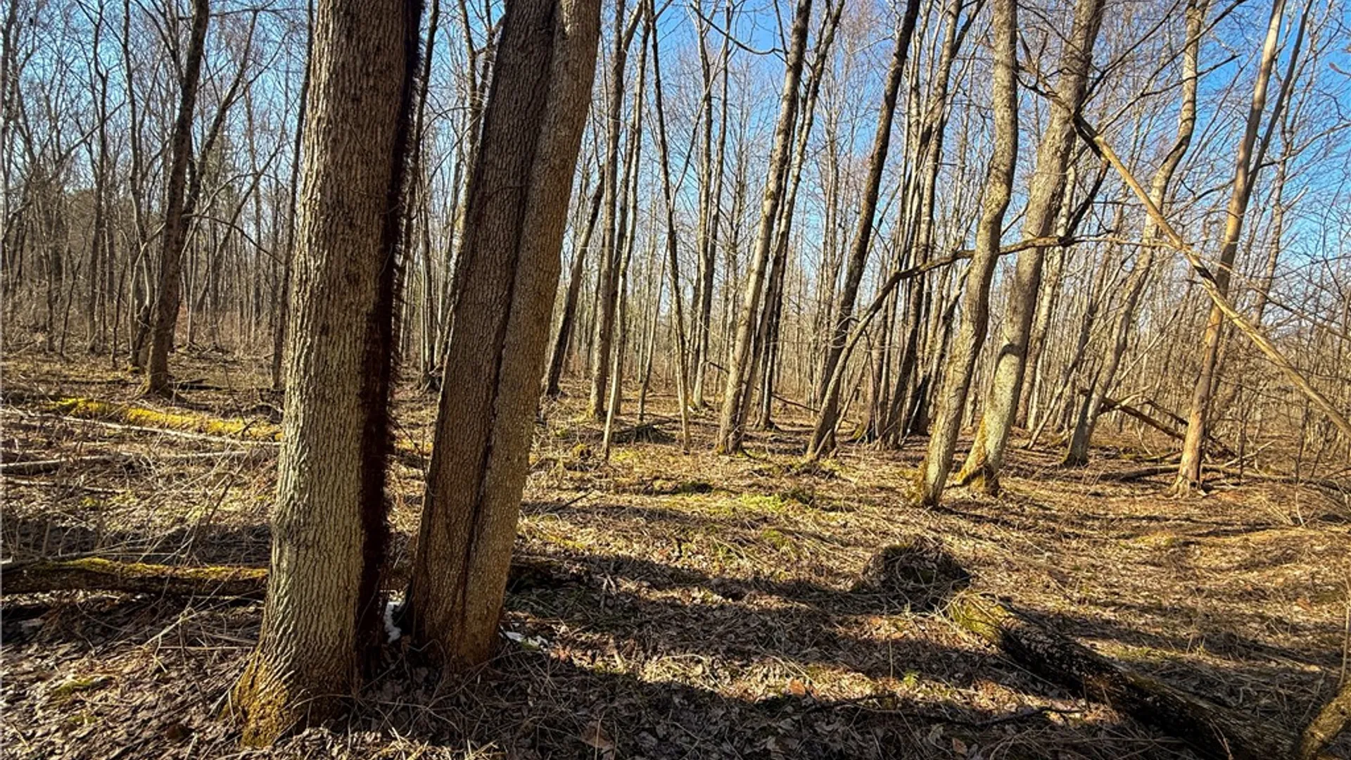 Property at Paradise Road, Palermo, NY 13036 27