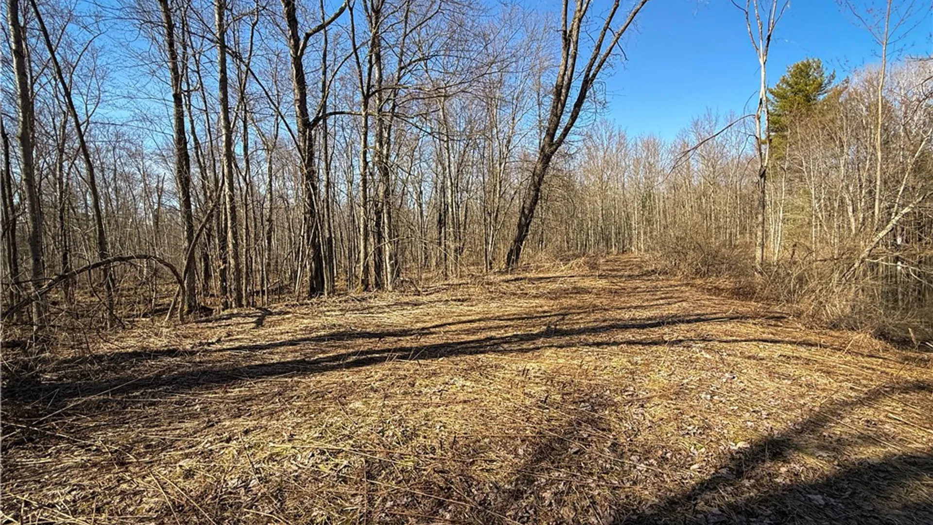 Property at Paradise Road, Palermo, NY 13036 5