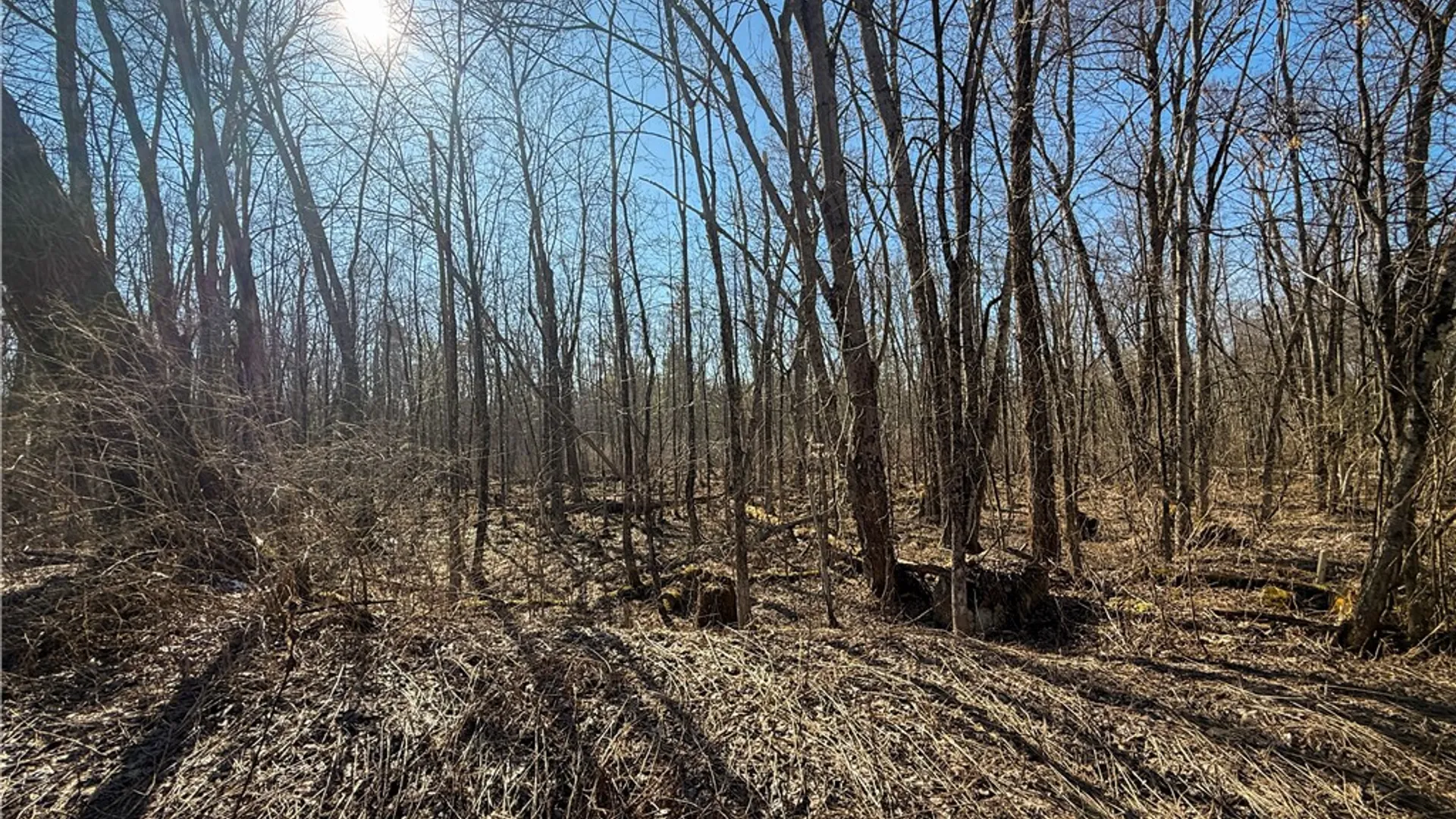 Property at Paradise Road, Palermo, NY 13036 6
