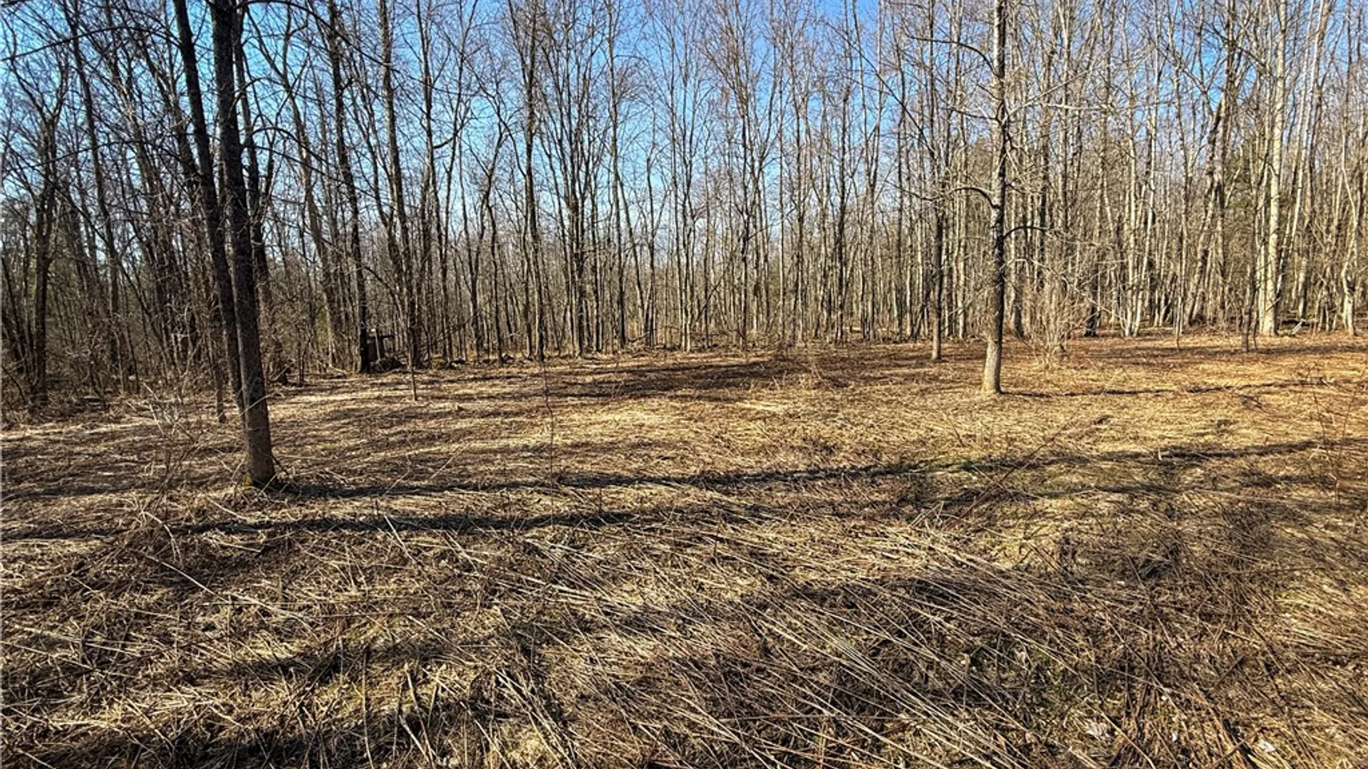 Property at Paradise Road, Palermo, NY 13036 7