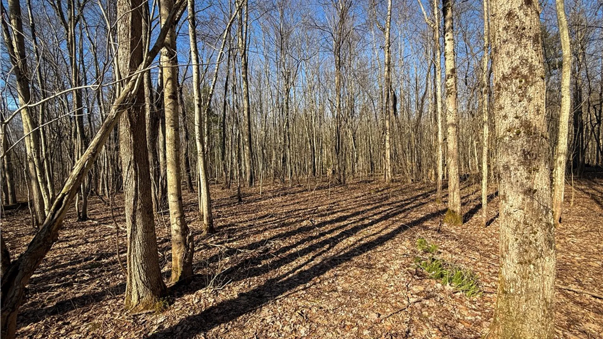 Property at Paradise Road, Palermo, NY 13036 8