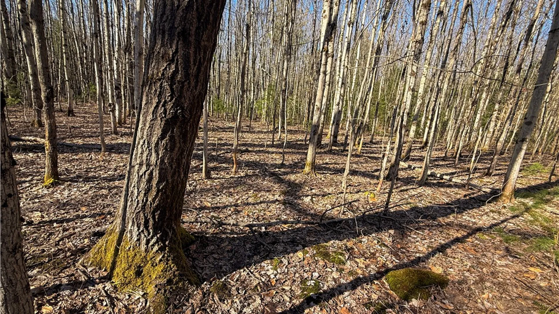 Property at Paradise Road, Palermo, NY 13036 9