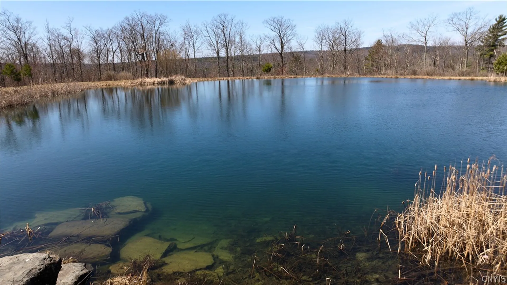 Property at 285 Patria Road, Fulton, NY 12187 7