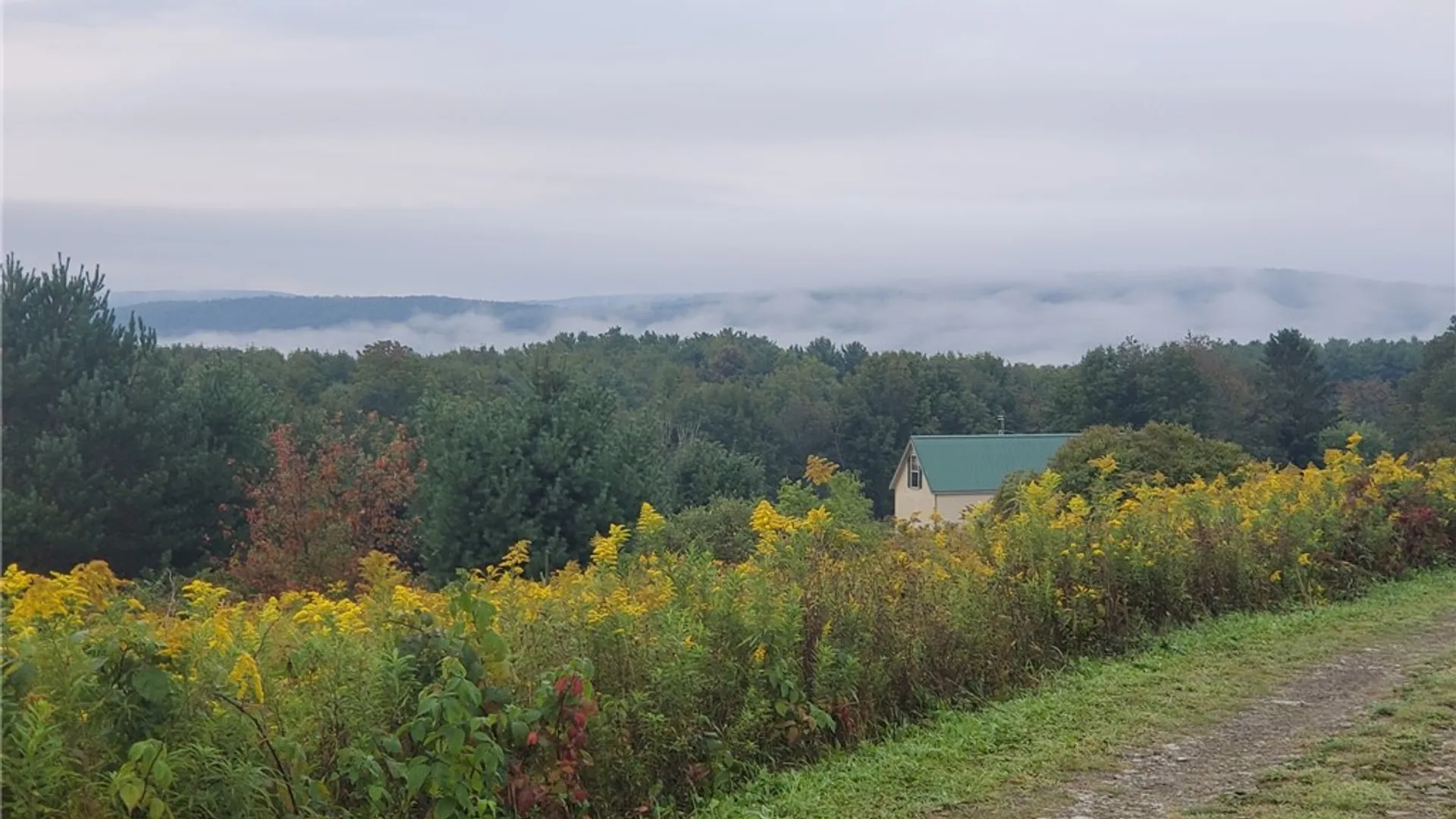 Property at 149 Valley View Drive, Smyrna, NY 13464 15