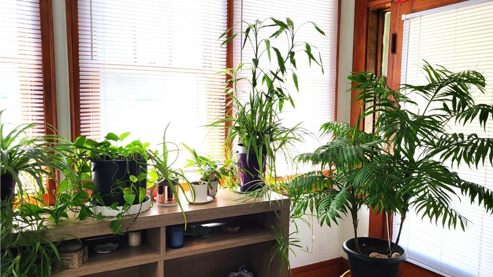 Property at 616 Teall Avenue, Syracuse, NY 13206 9