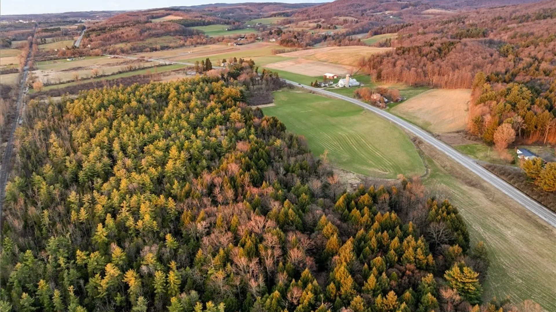 Property at 124 State Route 12, Sangerfield, NY 13480 12