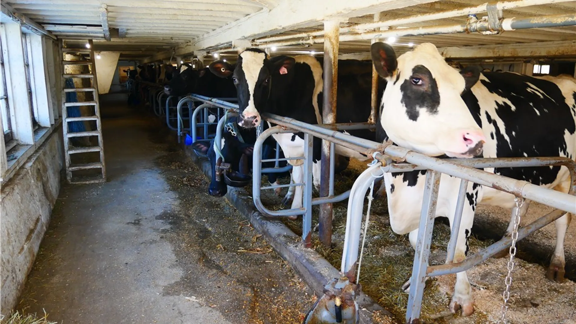 Property at 124 State Route 12, Sangerfield, NY 13480 18