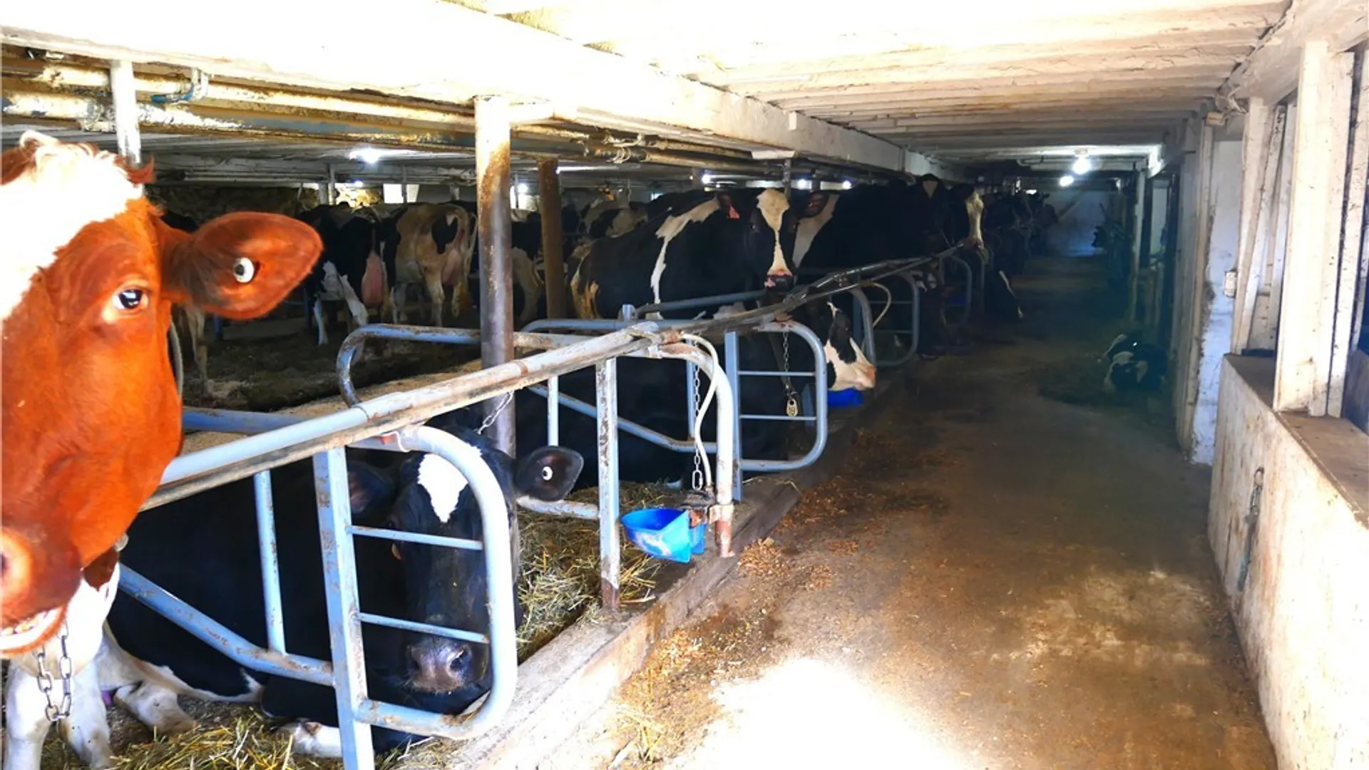 Property at 124 State Route 12, Sangerfield, NY 13480 19