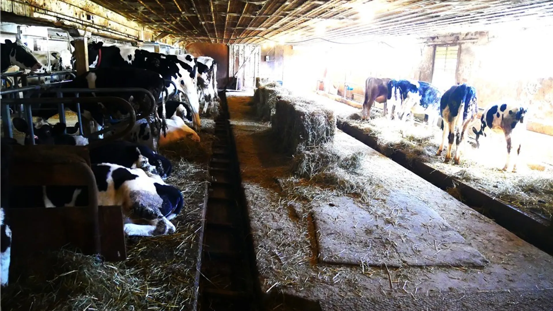 Property at 124 State Route 12, Sangerfield, NY 13480 20