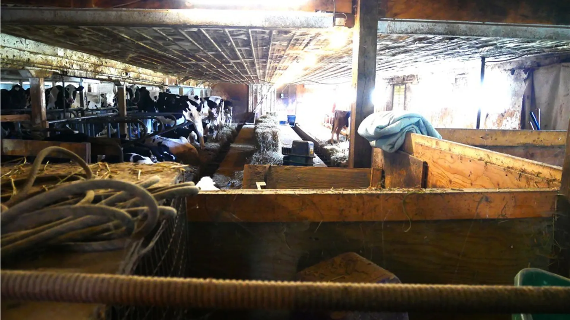 Property at 124 State Route 12, Sangerfield, NY 13480 21