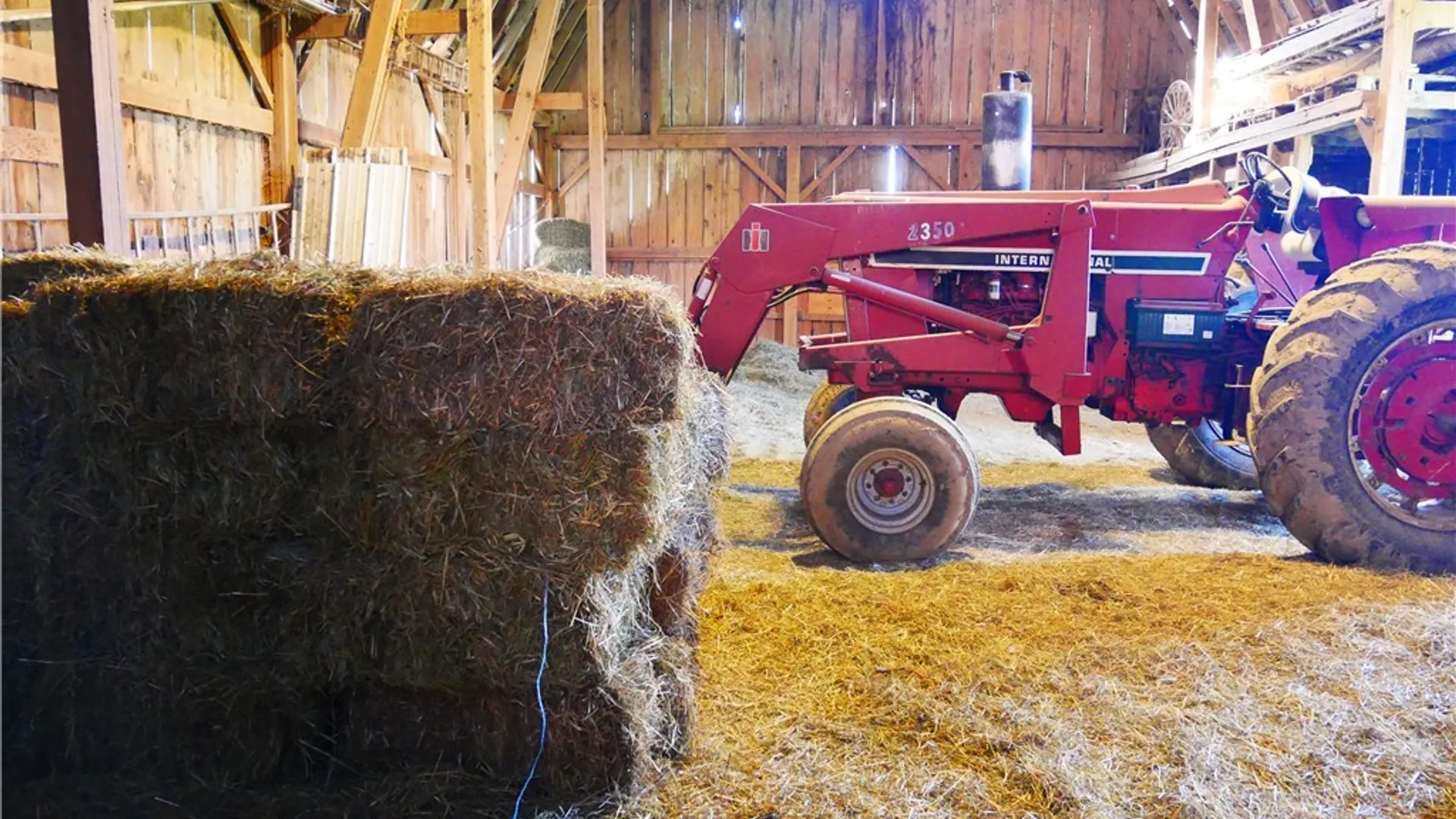 Property at 124 State Route 12, Sangerfield, NY 13480 23