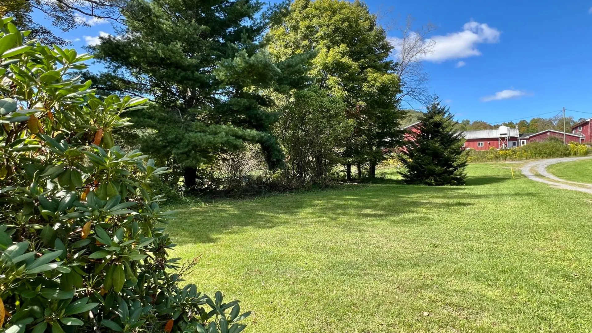 Property at 635 Charlotte Valley Rd, Charlotteville, NY 12036 3