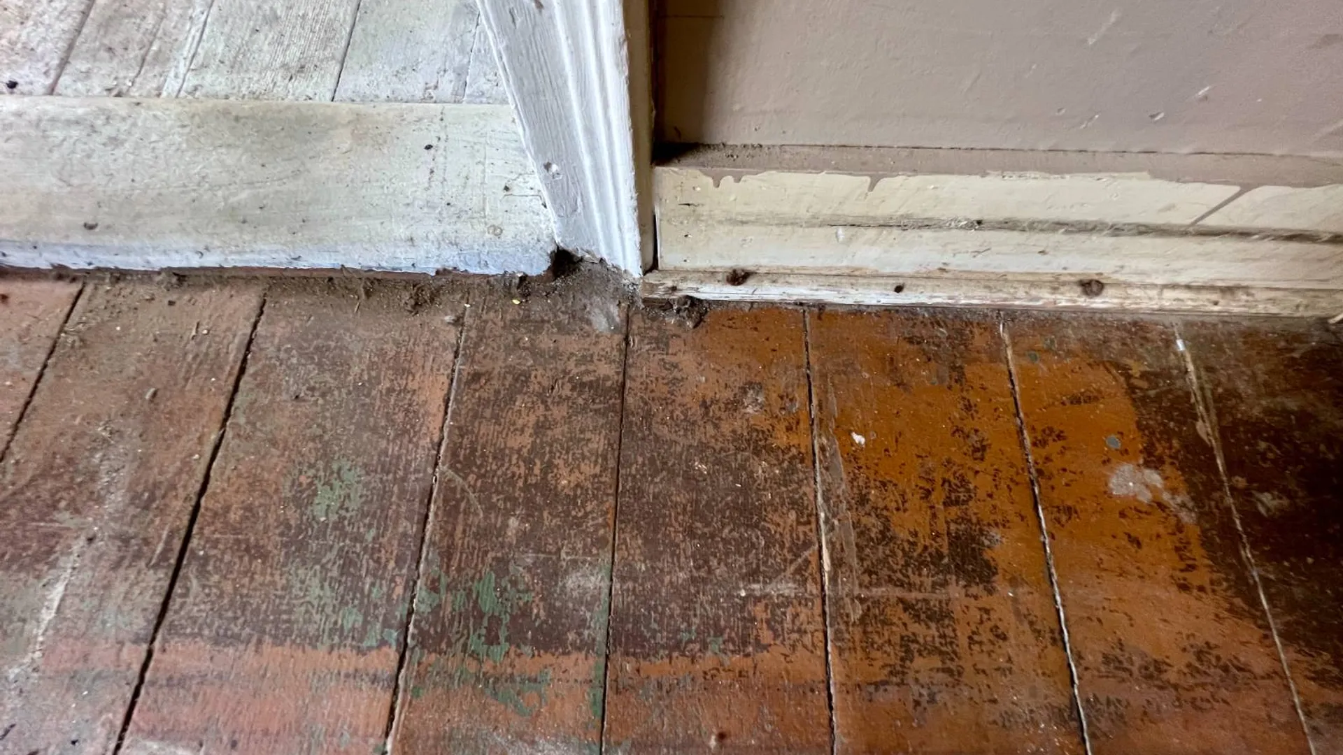 Property at 635 Charlotte Valley Rd, Charlotteville, NY 12036 9