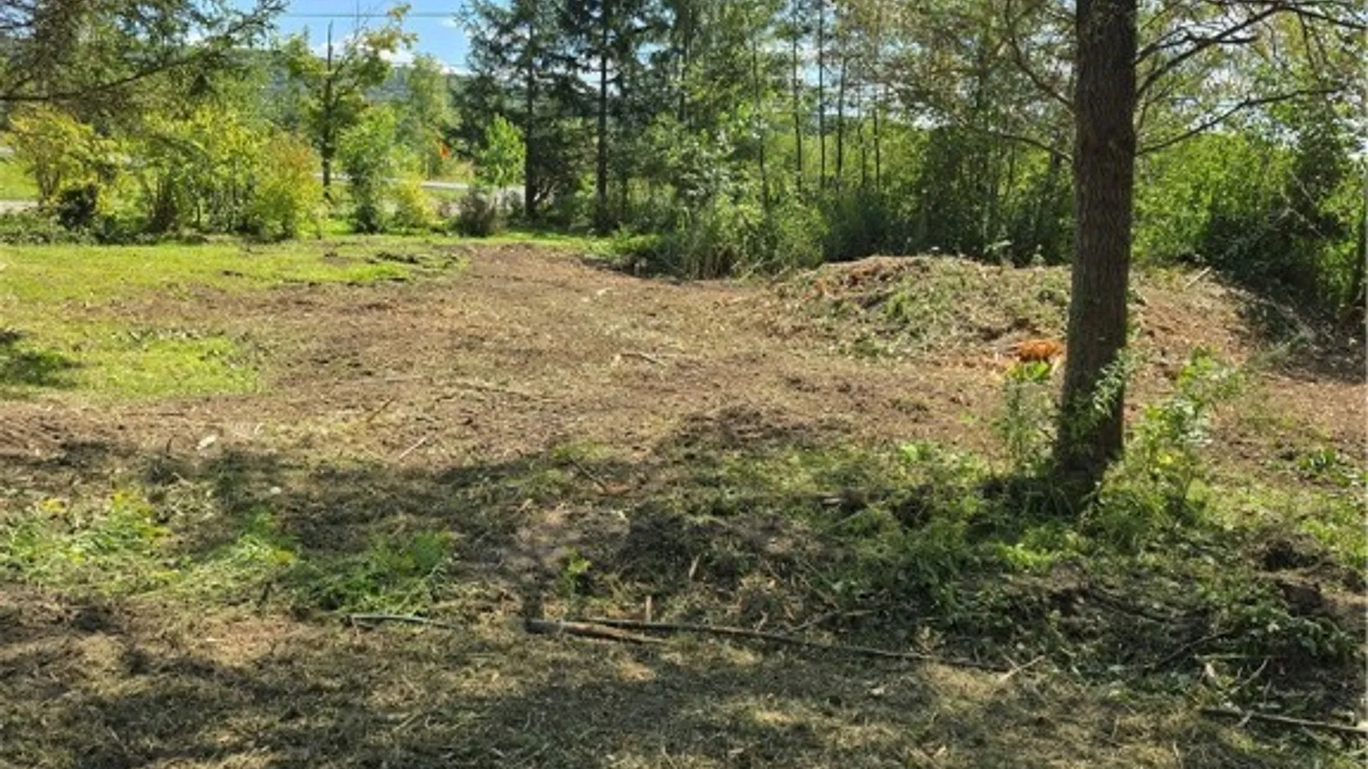 Property at 1686 Hanshaw Road, Dryden, NY 14850 4