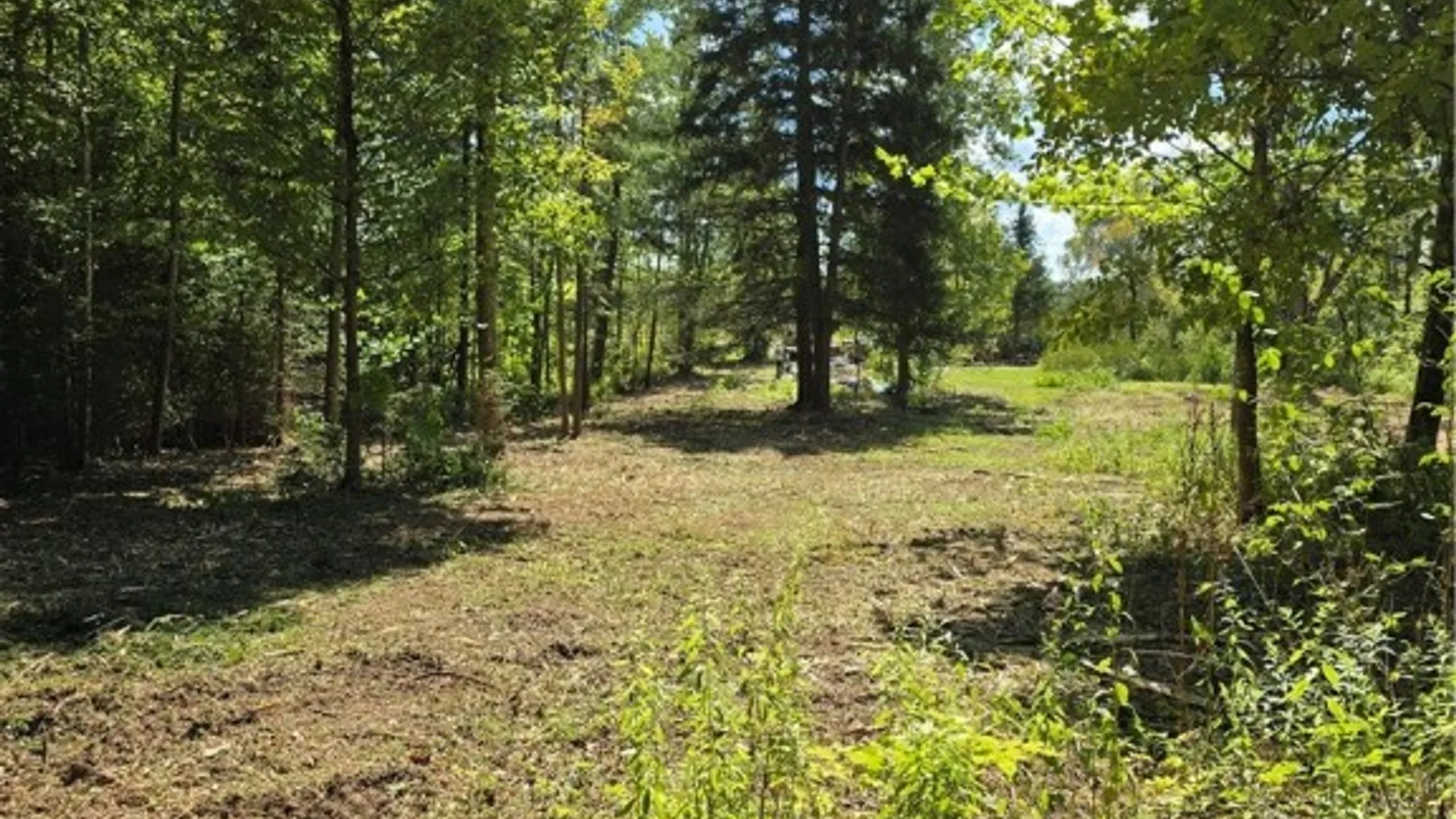 Property at 1686 Hanshaw Road, Dryden, NY 14850 6