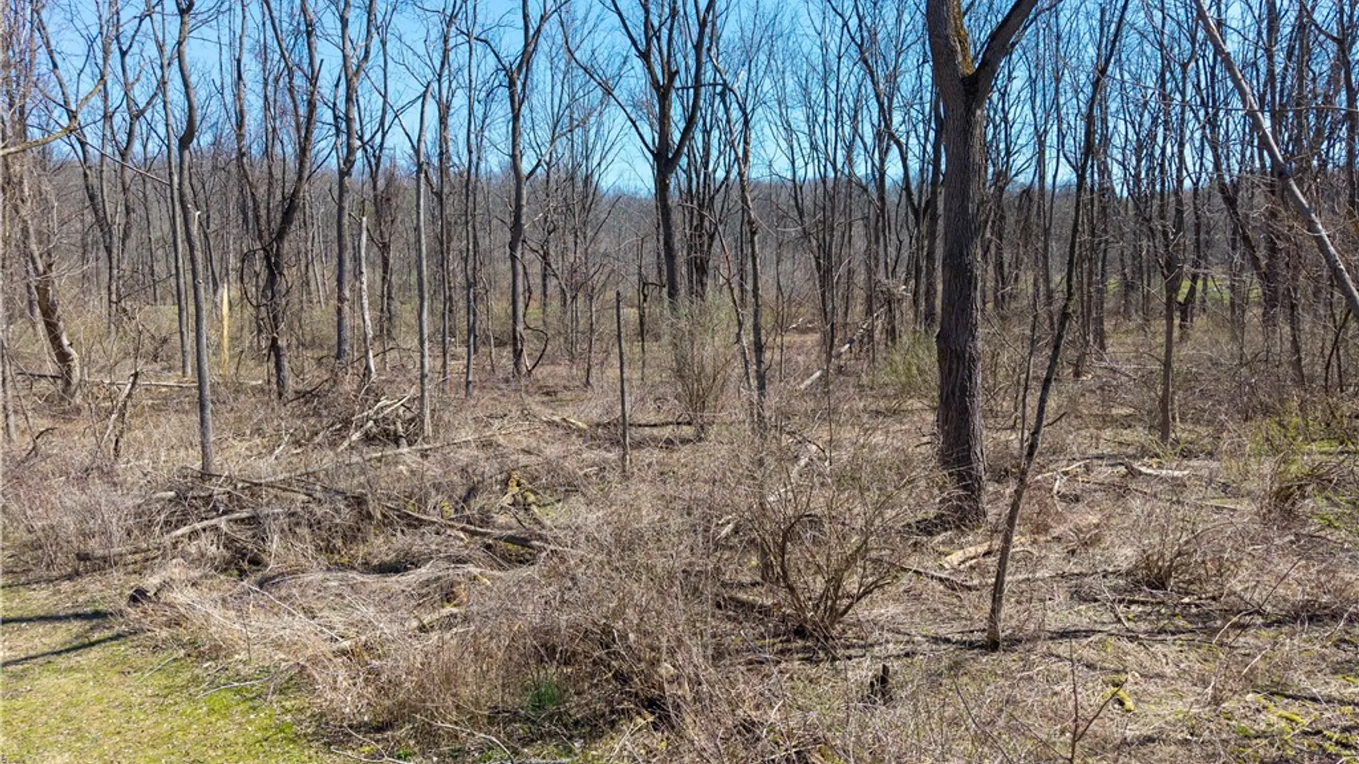 Property at 4821 Main Street, Livonia, NY 14466 13