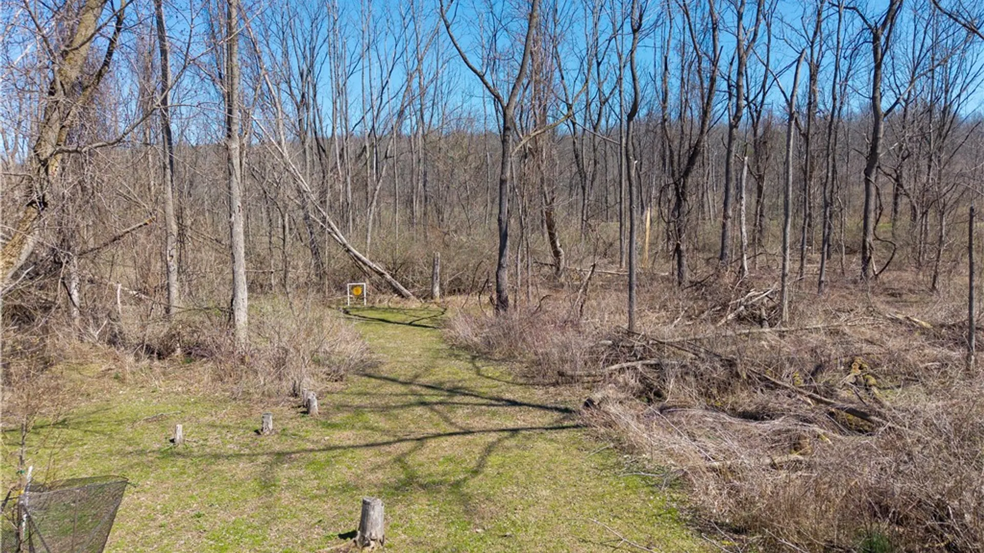 Property at 4821 Main Street, Livonia, NY 14466 14