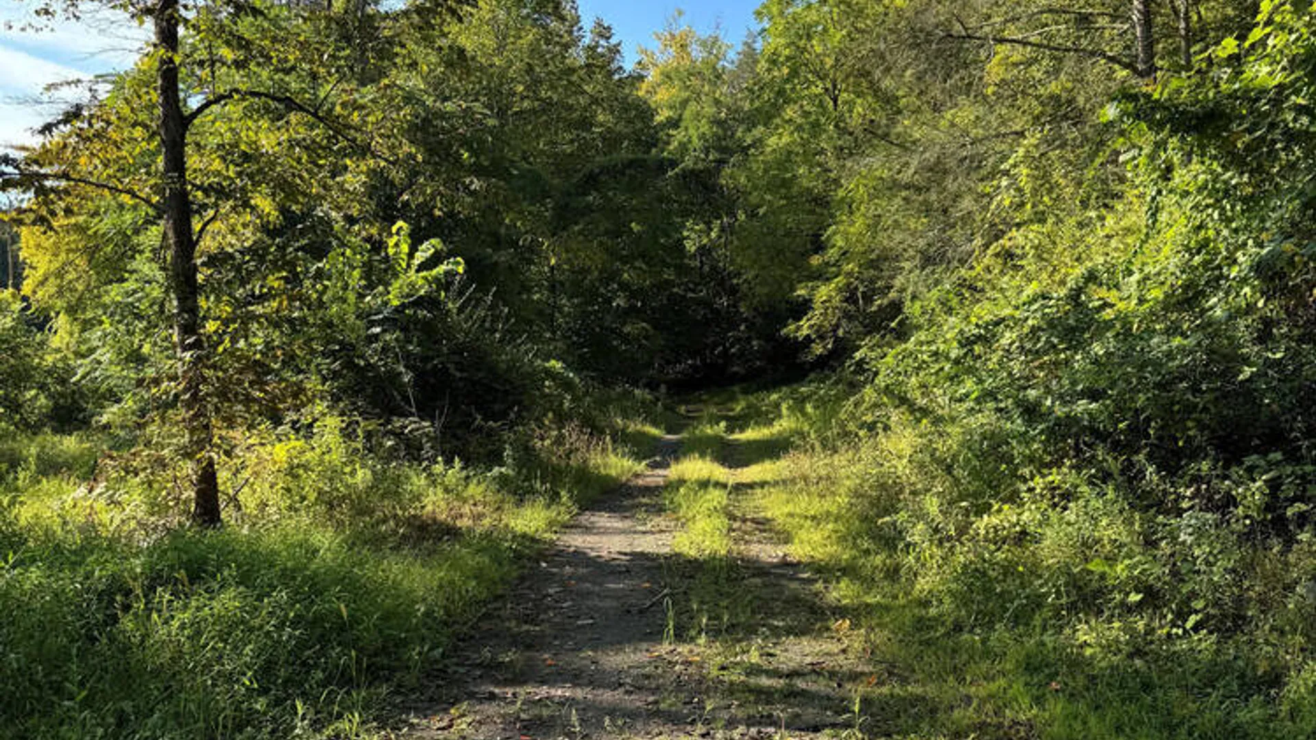 Property at L2 High Rock Road, New Baltimore, NY 12087 3