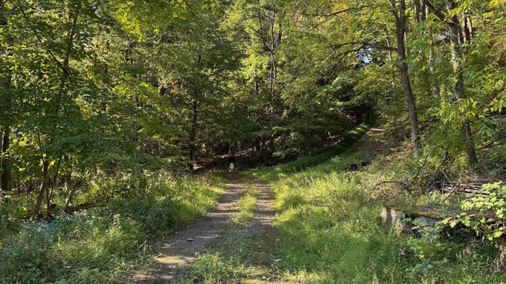Property at L2 High Rock Road, New Baltimore, NY 12087 6