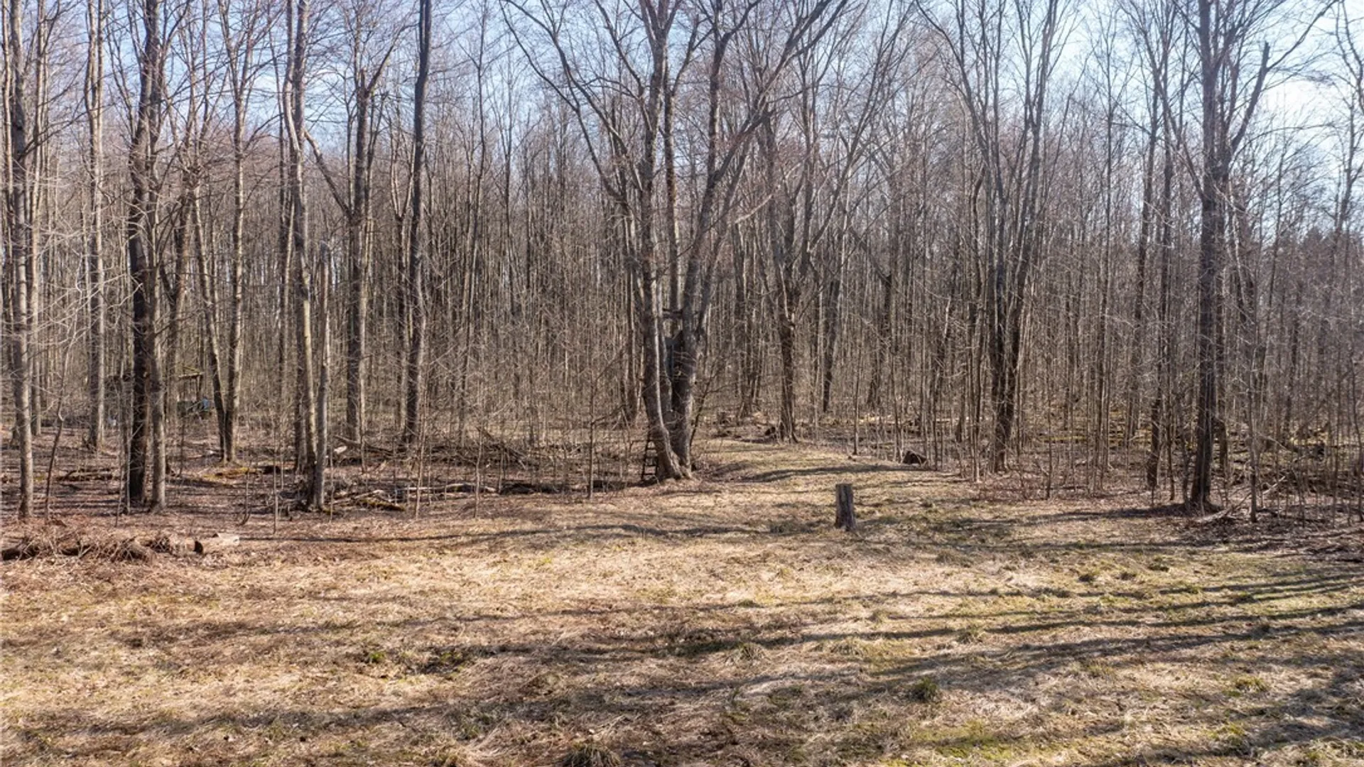 Property at 3675 Salisbury Road, Ellery, NY 14701 10