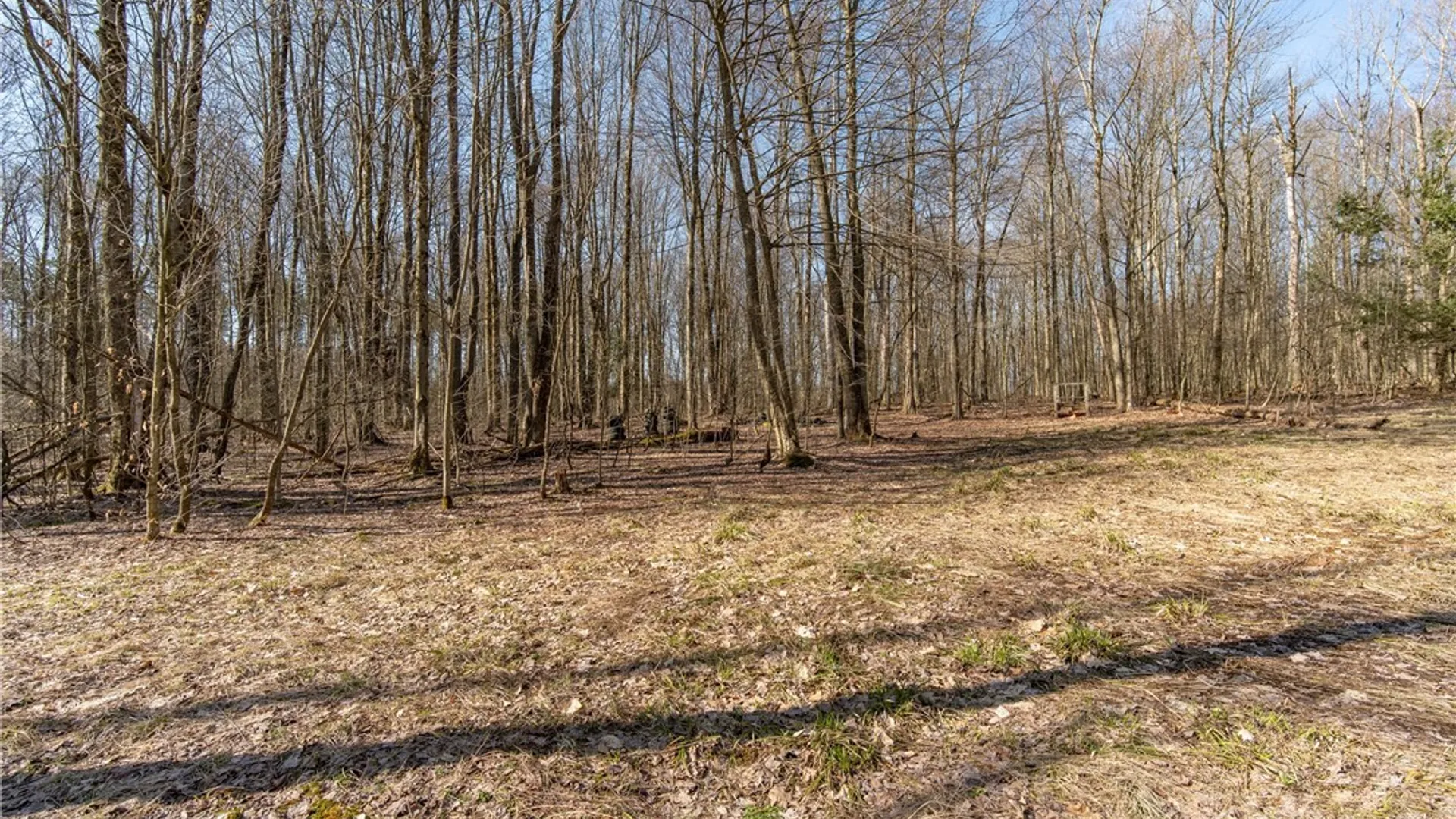 Property at 3675 Salisbury Road, Ellery, NY 14701 14