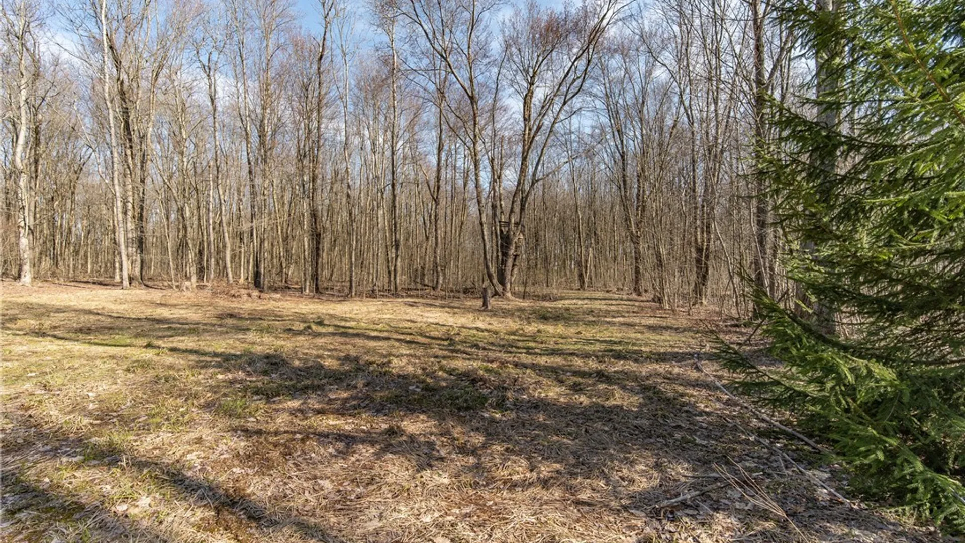 Property at 3675 Salisbury Road, Ellery, NY 14701 15