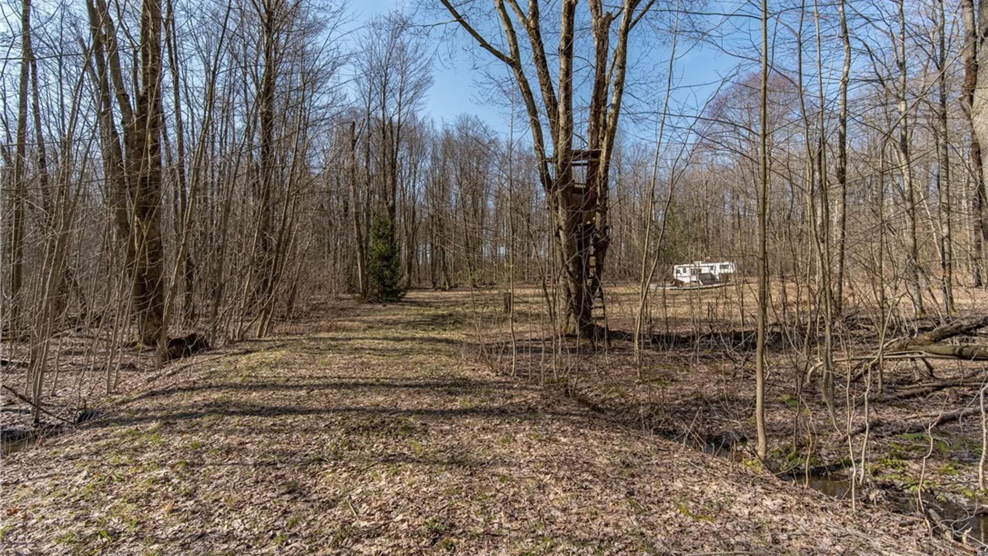 Property at 3675 Salisbury Road, Ellery, NY 14701 2