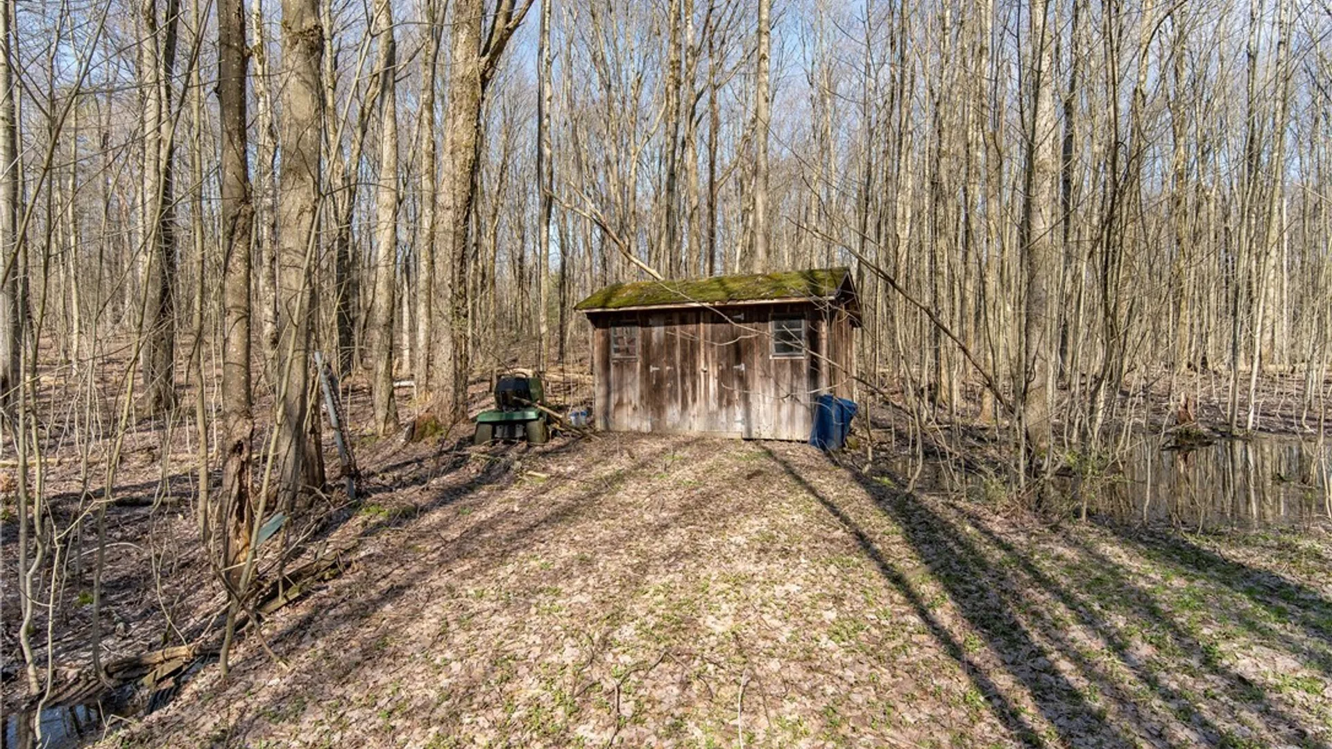 Property at 3675 Salisbury Road, Ellery, NY 14701 3