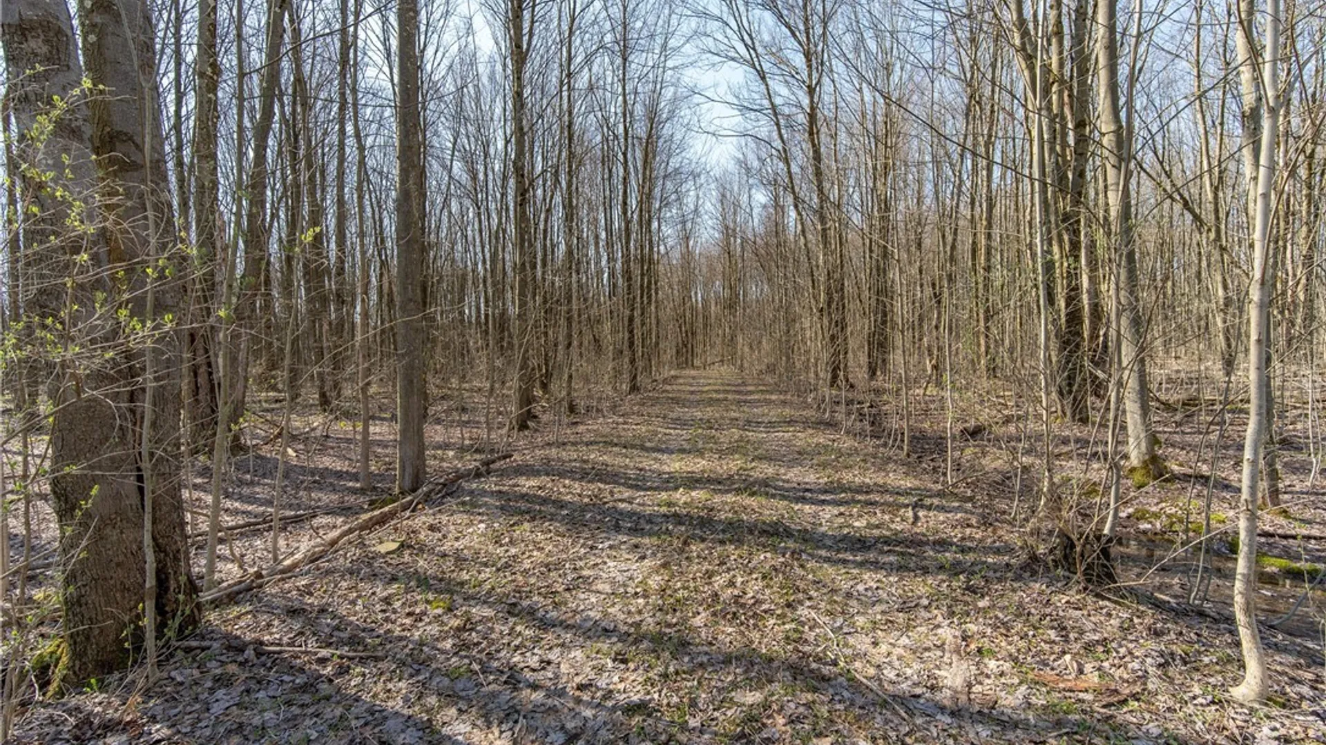 Property at 3675 Salisbury Road, Ellery, NY 14701 4